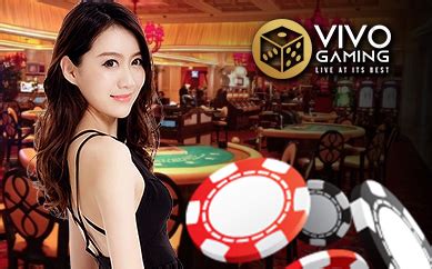  live345 casino